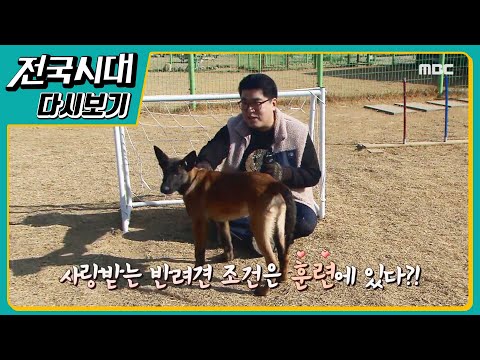 [LIVE]생방송전국시대신년특집 인터뷰 - 장흥 군수  울산) 발품식객 굴구이  경남) 진주 <strong>애견</strong> 훈련소  <strong>대전</strong>) 청춘 모여라  충북) 샌드아트 작가의 모래 한줌 이야기!