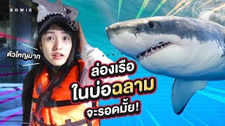 Shark!!!! - SEA LIFE Bangkok Ocean World