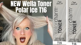 NEW Wella Toner T16 Polar Ice