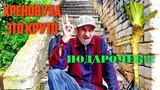 Дегустация Хреновухи! (Подарочек)