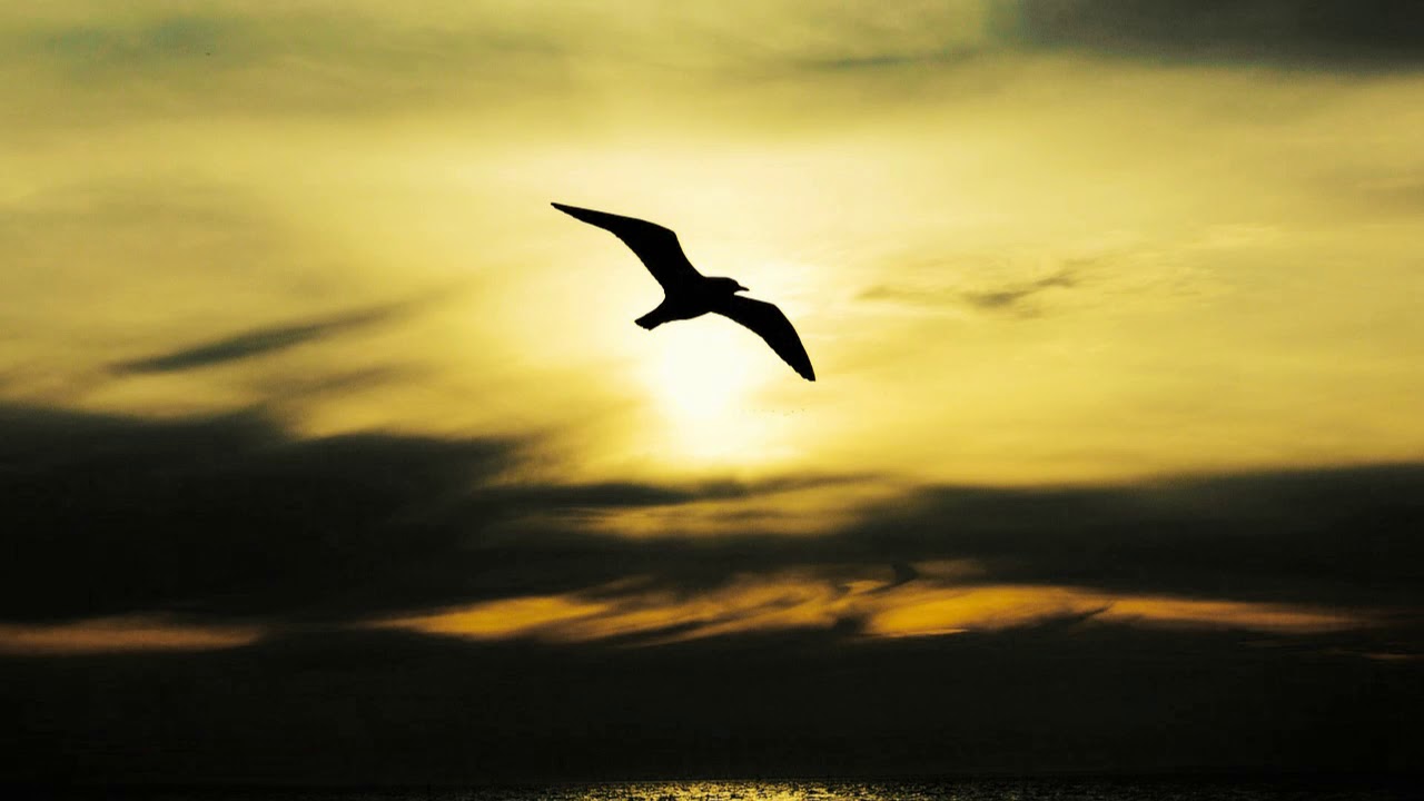 Ambient Drone Music "Reborn by DJ Gami.K"