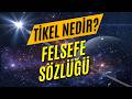 Tikel Nedir? | Bireysel Varlıkların Felsefi Anlamı