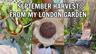 🍁 A cosy September vlog / Harvesting vegetables from my small London garden in Autumn 🍂