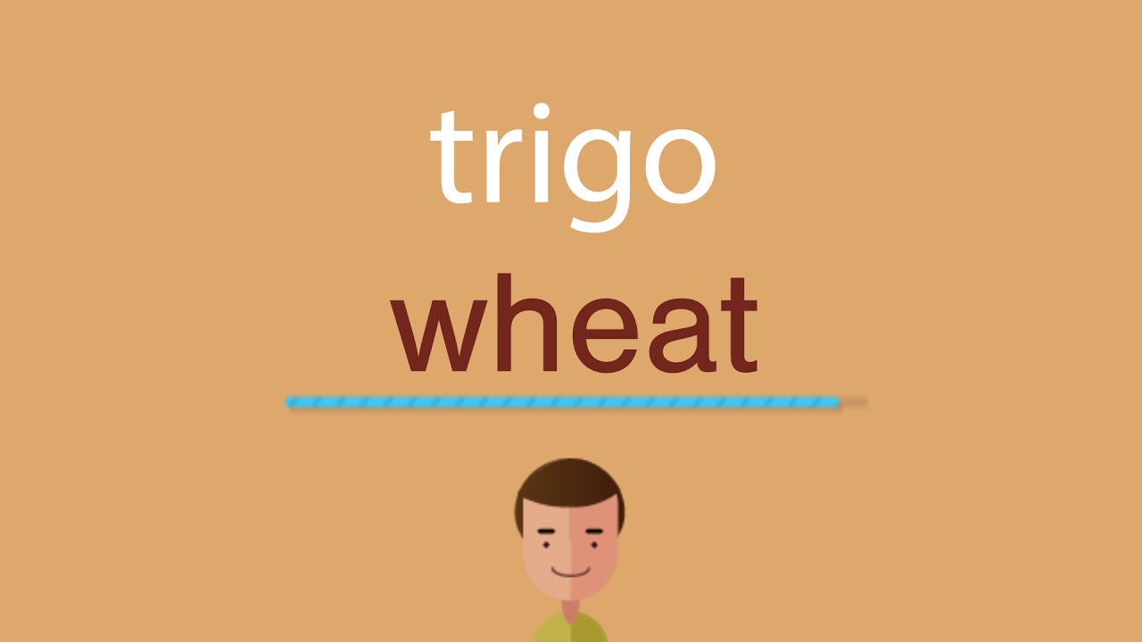 Cómo se dice trigo en inglés idioma de colombia