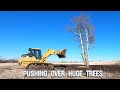 Pushing Over Massive Trees With CAT 973C Track Loader