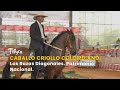 Caballo Criollo Colombiano: Las Razas Diagonales. Patrimonio Nacional -TvAgro por Juan Gonzalo Angel