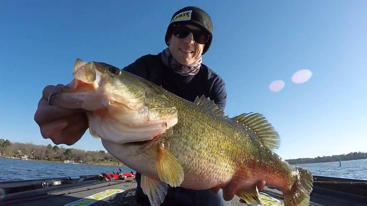 bass fishing winter swimbaits deep grass