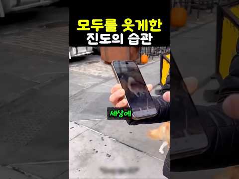 모두를 웃게한 진도 믹스의 습관 thumbnail