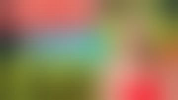 1xBet Promo Code 2025 🤑 Get 300% Bonus Instantly! | how to create 1xBet affiliate promo code