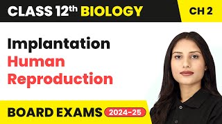 Implantation - Human Reproduction | Class 12 Biology Chapter 2 | CBSE 2024-25