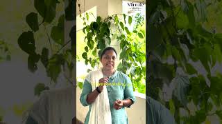Can Hibiscus Tea Help Support Menstrual Health