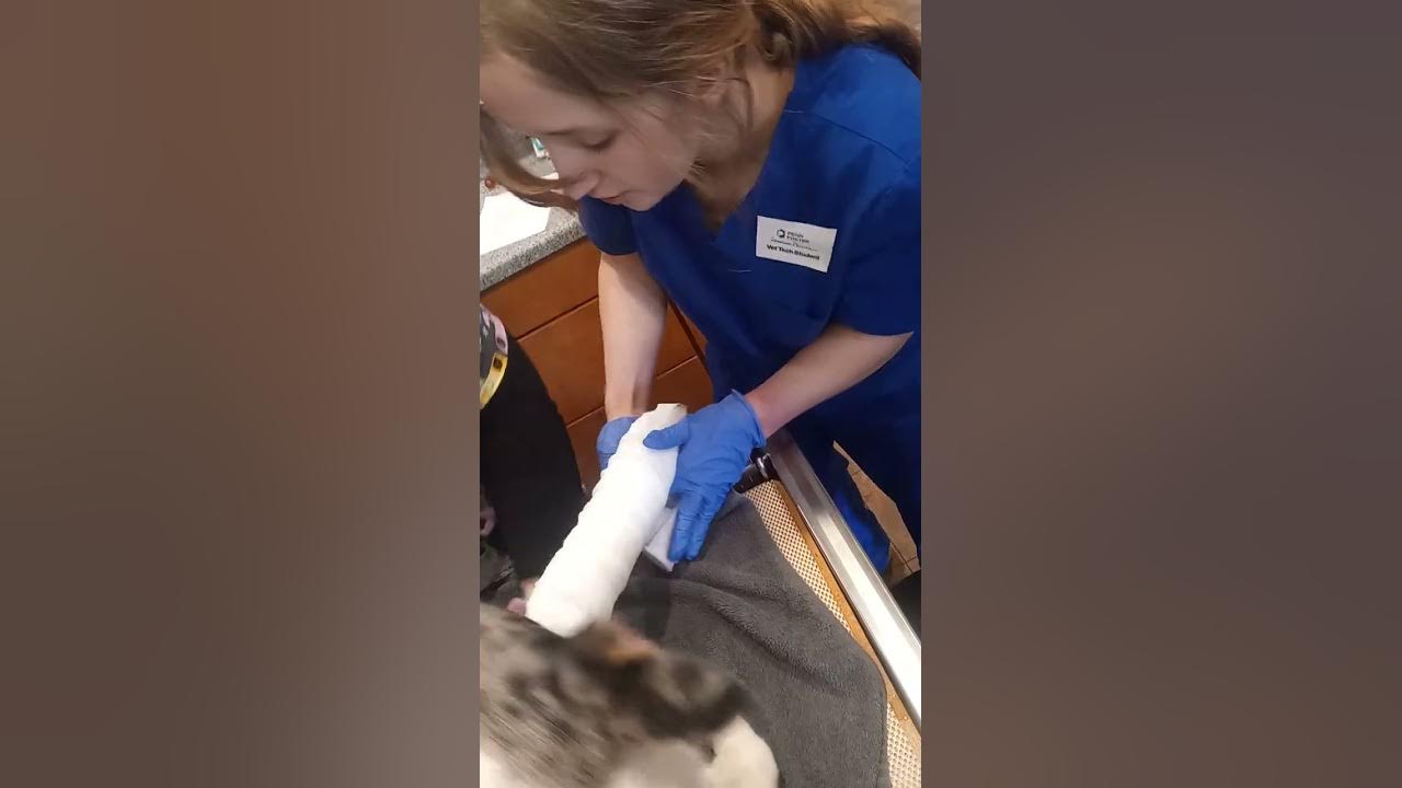 Robert Jones bandage YouTube