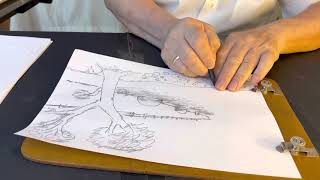 Görmez Ressam Eşref Armağan . Köprülü Bir Manzara Çizimi Izlermisiniz