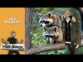 #511 Wild Nights on the Mike Herrera Podcast