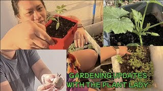 OUR FIRST POTATOE CONTAINER REPOTTING UPDATES FILONESIAN VLOG 49