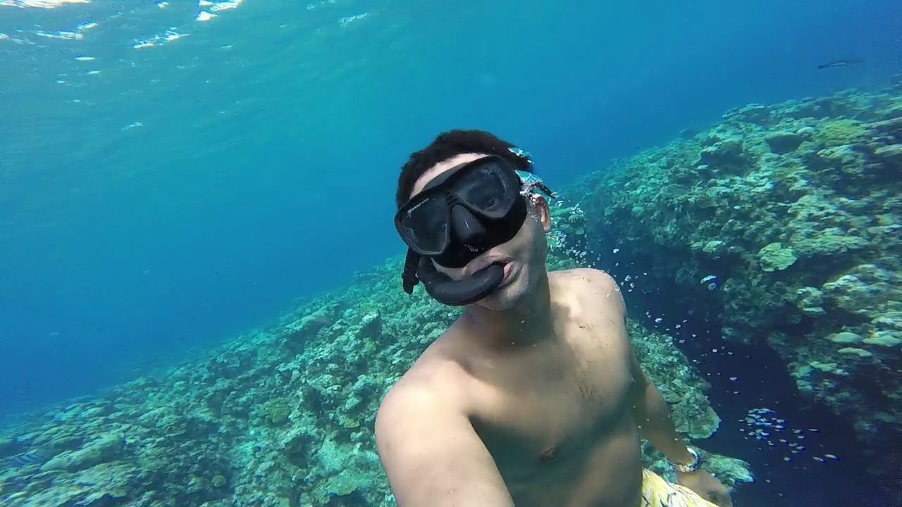 Cayman Lifestyle Snorkeling off Town Grand Cayman YouTube
