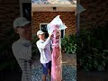 Mabilisang pampaganda ng bahay at garden. Yayamanin at pangmalakasan ang dating!
