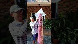Mabilisang pampaganda ng bahay at garden. Yayamanin at pangmalakasan ang dating! 