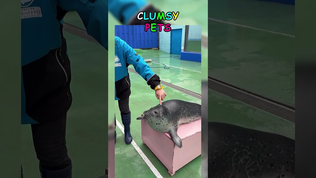 Situation: Funny #13 sniper shot confirmed. Target eliminated 🔫 