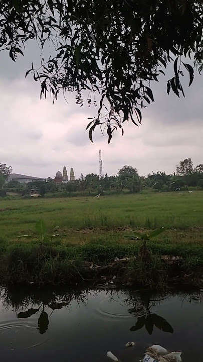 Remembering my childhood playing in the rice fields, bathing in the river, coming home to be scol...