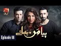 Watch Piya Mann Bhaye - Episode 08 | GEO KAHANI Online In HD