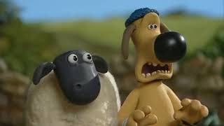 Баранчик Шон 24