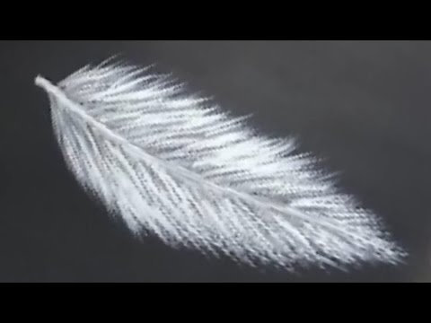 Painting a Feather with Acrylics - YouTube