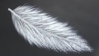 Painting a Feather with Acrylics