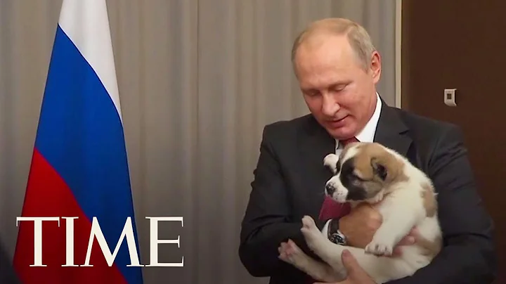 Here's The Awkward Moment When Vladimir Putin Got A Puppy As A Gift | TIME - DayDayNews