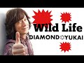 ユカイな弾き語り/Wild Life
