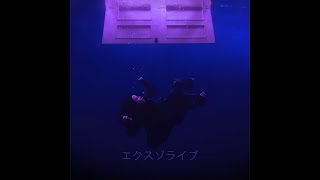 Xzo Live, Billie Eilish - Birds Of A Feather Wavephonk