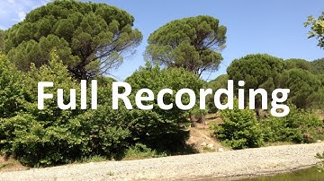 Full - Genomic Relationships and GBLUP Webinar