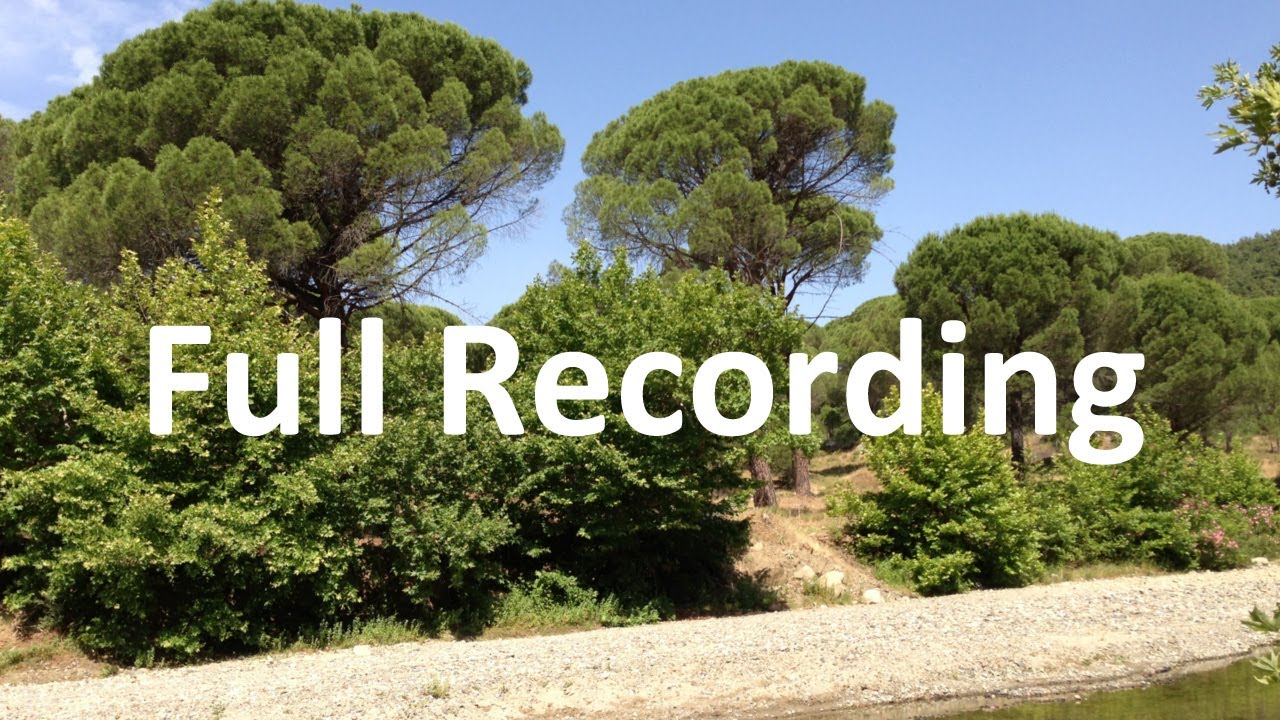 Full - Genomic Relationships and GBLUP Webinar