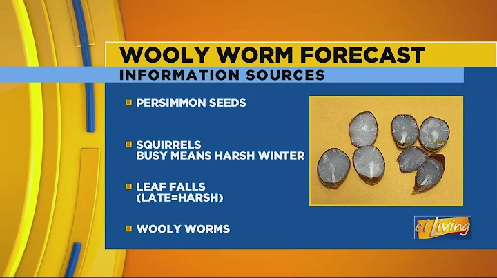 CI Living Judy Fraser's Wooly Worm Report Part 1