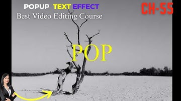 🔥How to make pop up text message effect in VSDC Free Video Editor?