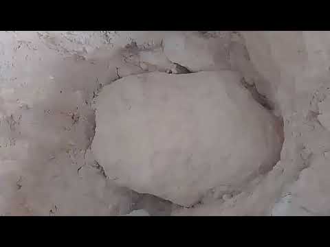 الاسياخ النحاسية لحظة الوصول للمدخل المدرسة الحديثة دج