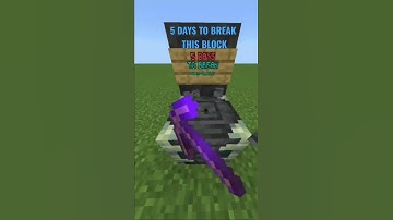 Reinforced deepslate took 5 days to break it #looping