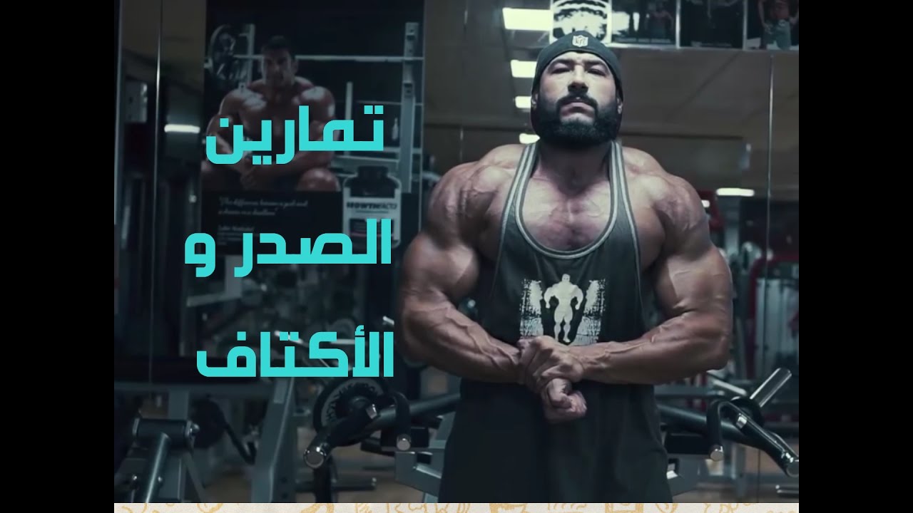 التنشيف و التجهيز لبطولة ( تمارين الصدر و الأكتاف )