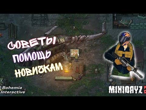 Советы-помощь-новичкам, куда идти