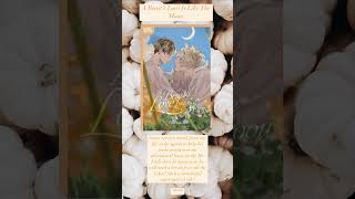 30In30 Volumes 1-5 Hosts