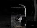 Selfie-Induced Chaos | #just_me_kruck on #Twitch