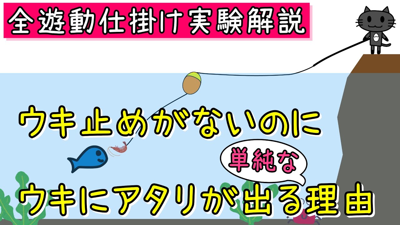 [実験動画] ウキ止めの無い全遊動仕掛けでウキにアタリが出る単純な理由 [フカセ釣り]