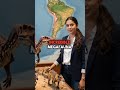 Giant Buffalo-Sized Rodent Once Ruled South America