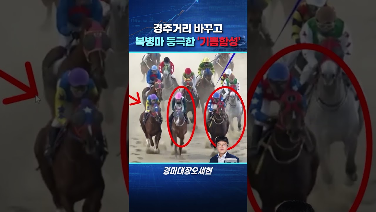 "이번 주 복병마는 이 말입니다"