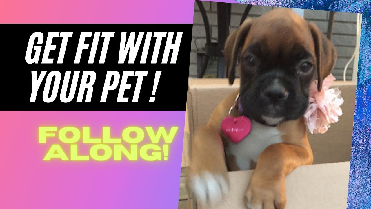 FUN Home Workout With Your Dog - Follow Along, Only 15 Minutes! 