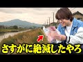 エ口本の不法投棄、ド田舎ならまだまだ現役説