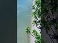 #relaxingmusic #relax #relaxing #shorts #shortvideo
