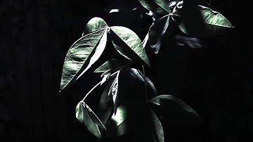 GEMS Expanding II & III