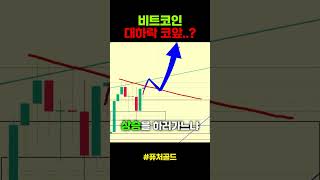 비트코인 하락 시작?
