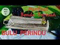 33+ Manfaat Cara Menggunakan Bulu Perindu Agar Berfungsi